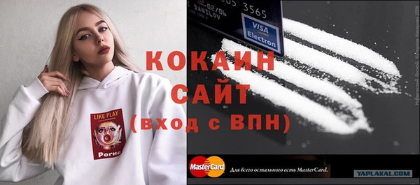 ешки Арсеньев