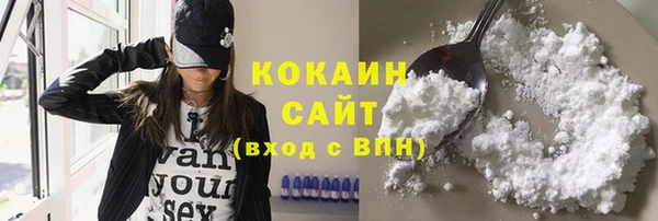 ешки Арсеньев
