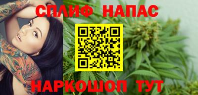 МДПВ Краснознаменск