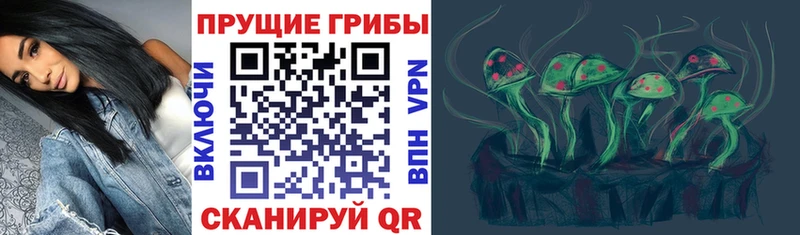 hydra tor  Свободный  нарко площадка состав  наркота  Псилоцибиновые грибы ЛСД 