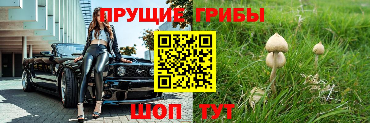 Псилоцибиновые грибы MAGIC MUSHROOMS  Псилоцибиновые грибы Cubensis  Вход с VPN  Свободный 