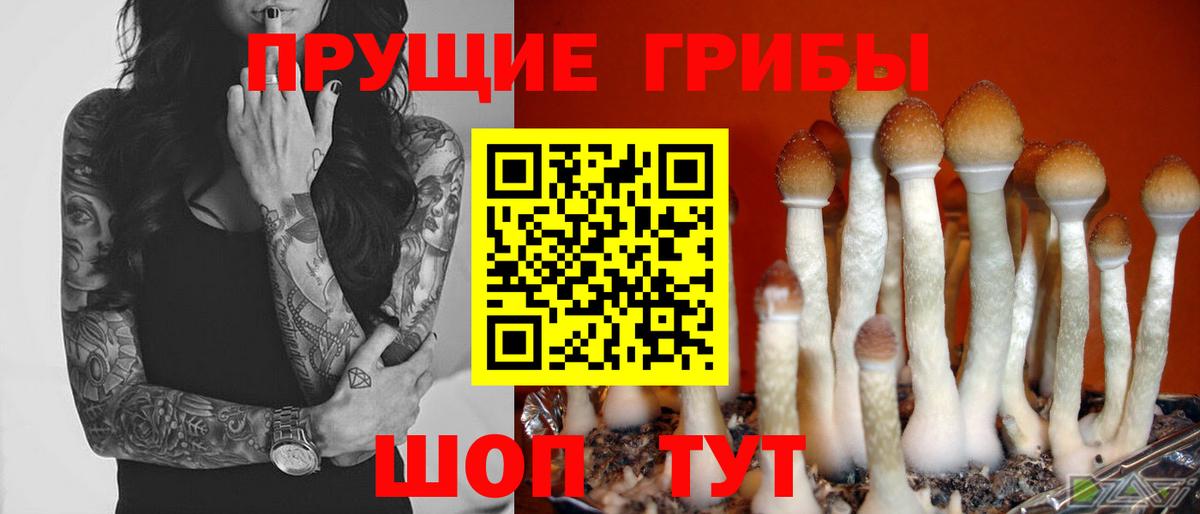 Псилоцибиновые грибы Magic Shrooms Свободный